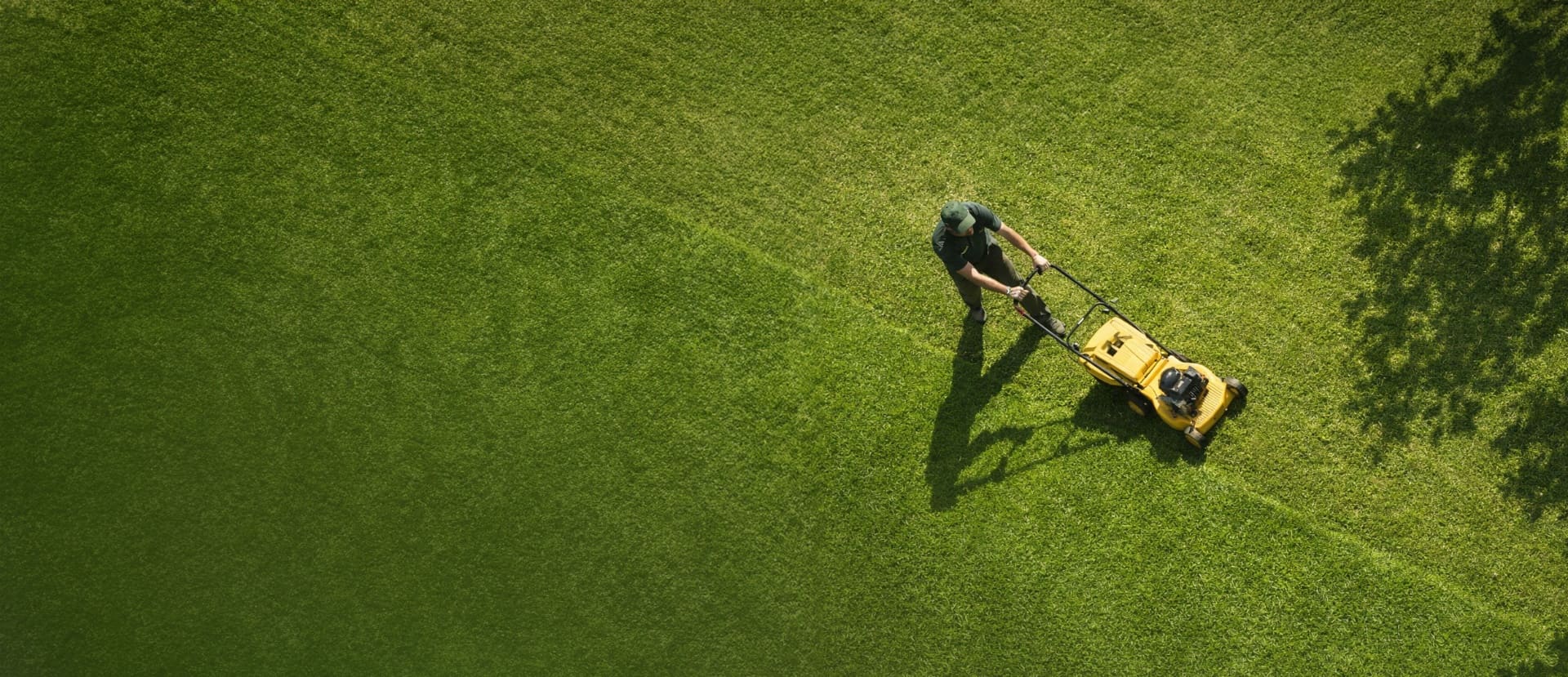 Inside a small-business workshop at golden hour